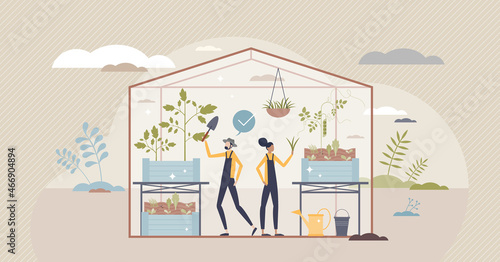 Horticulture and gardening in greenhouse to grow plants tiny person concept. Planting, harvesting or seedling vegetable or leaf salad sprouts process vector illustration. Agriculture and cultivation.