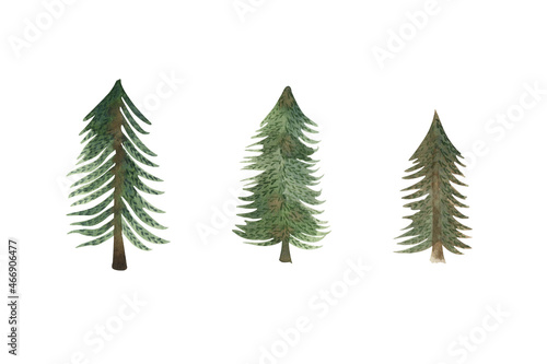 Watercolor pine trees pine illustraions. Isolated elements. Clip art set