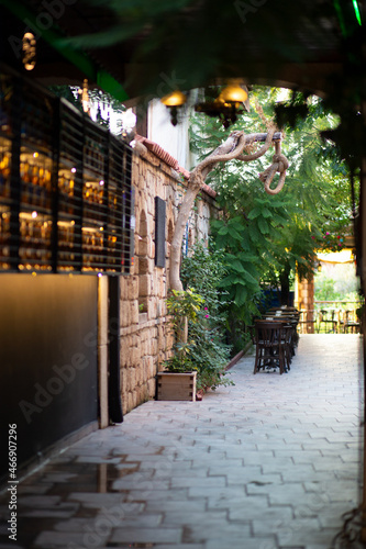 outdoor cafe exterior with tables  trees and beautiful decor in summer on a warm day