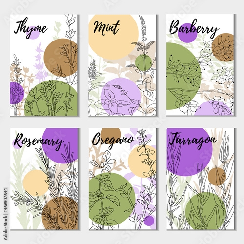 A colorful set of spices, herbs and spices. Bright, colorful hand drawing. Vector for menu, restaurant,
food and kitchen design.