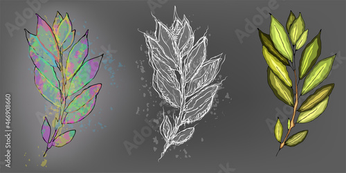 Three painted branches on a gray background. Branches in different styles, watercolor, pencil, cartoon.
Vector for design.