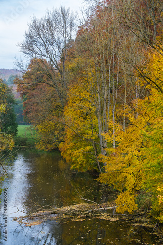 Hochformat: das Ufer der Altmühl in Pappenheim im Herbst mit bunten Blättern / Herbstlaub (Landschaft)