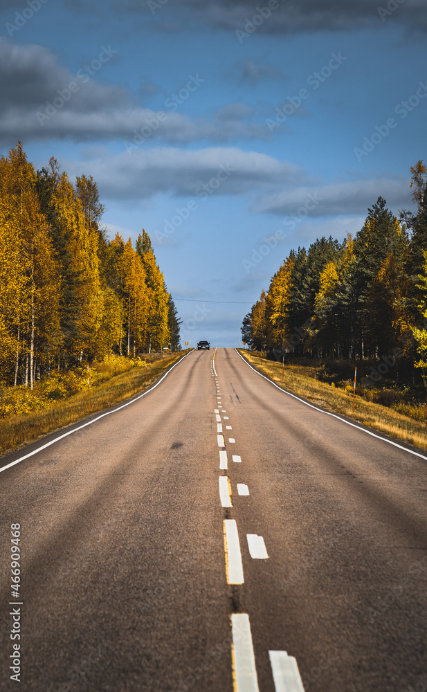 road in autumn road in autumn
