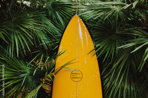 surf board photo
