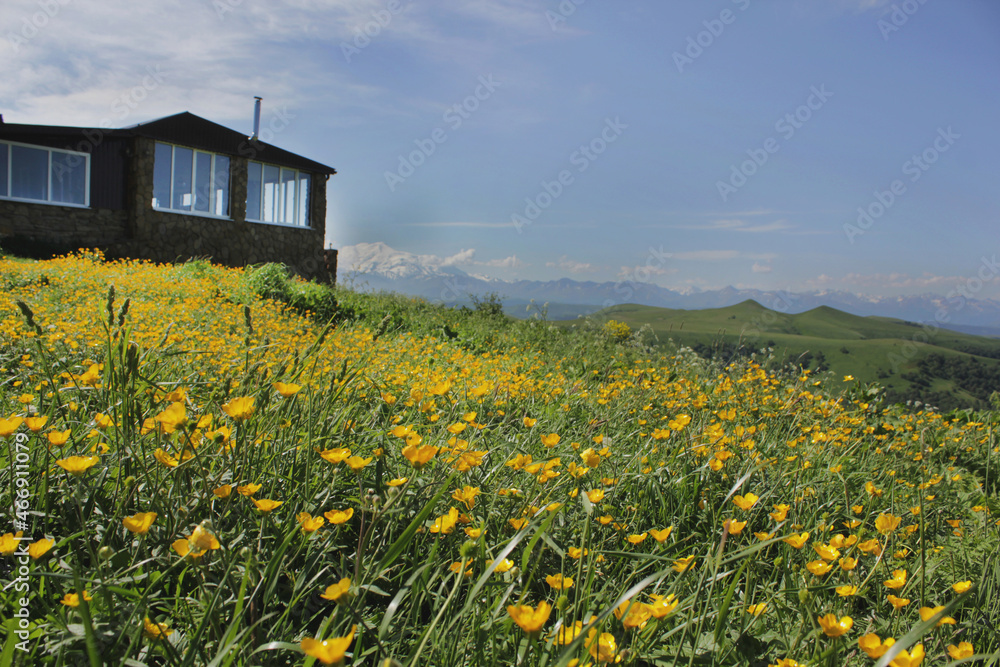 Scenic view of a small stone house in a field of yellow flowers against the background of the Caucasian mountains Scenic view of a small stone house in a field of yellow flowers against the background of the Caucasian mountains