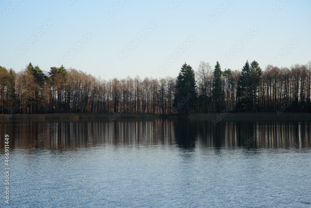 a beautiful forest lake with the reflection of trees in the water in autumn