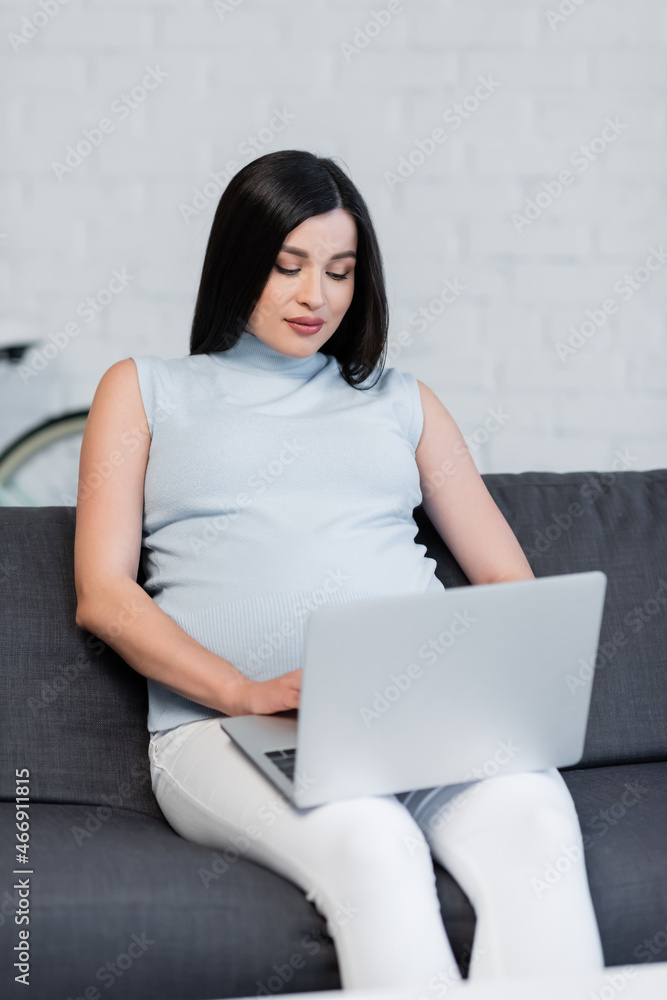 young pregnant woman using computer on couch in living room young pregnant woman using computer on couch in living room