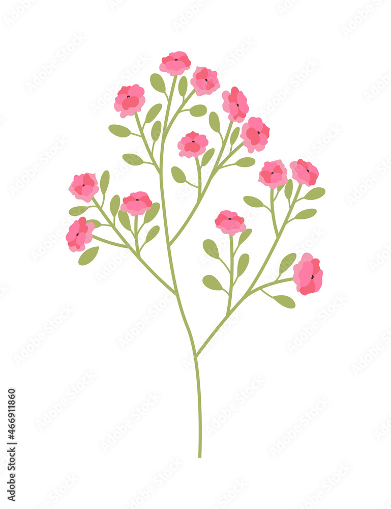 Spring flower. Botanical floral icon design. Garden plant on white background. Colorful flat vector illustration. Good decoration for wedding invitation or scrapbook