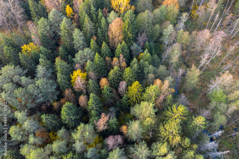 Aerial drone view over autumn forest. Aerial drone view over autumn forest.