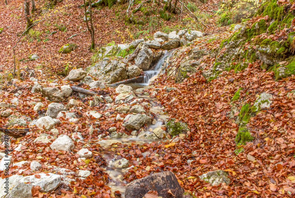 Abruzzo, Lazio and Molise National Park, Italy - famous for the italian wolf and the brown, the Abruzzo National Park in Autumn displays amazing colors and a spectacular foliage
Abruzzo, Lazio and Molise National Park, Italy - famous for the italian wolf and the brown, the Abruzzo National Park in Autumn displays amazing colors and a spectacular foliage