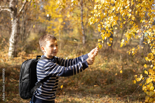 Happy teenager boy with backpack having fun in autumn park outdoors. People in fall. Schoolboy on way back from school. Joyful child walking in autumn forest. Digital detox. Leisure activity outside © Lyubov