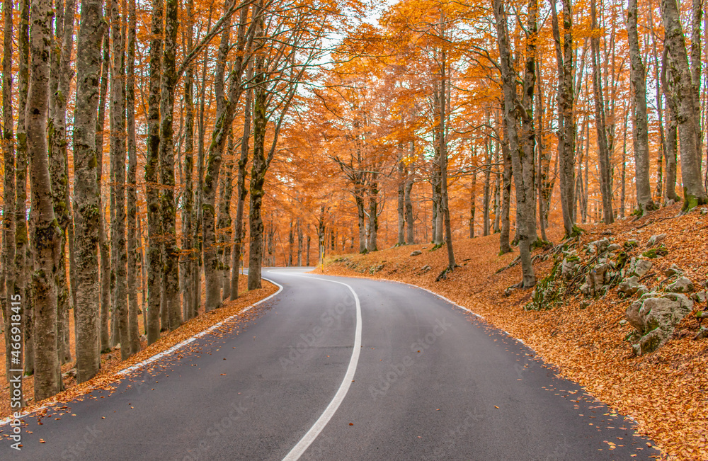 Obraz premium Forca d'Acero, Italy - right at the border between Lazio and Abruzzo, and embedded in the wonderful Abruzzo, Lazio and Molise National Park, Forca d'Acero is famous for its Autumn colors