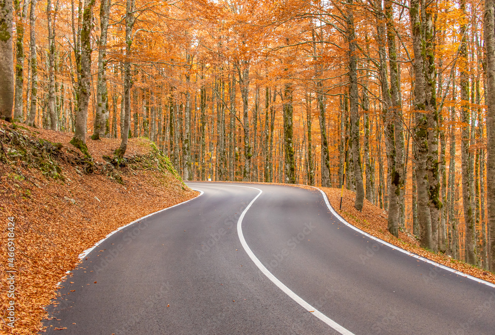 Fototapeta premium Forca d'Acero, Italy - right at the border between Lazio and Abruzzo, and embedded in the wonderful Abruzzo, Lazio and Molise National Park, Forca d'Acero is famous for its Autumn colors 