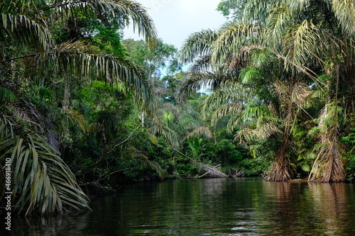 Costa Rica Tortuguero National Park - Parque Nacional Tortuguero - Network of canals sustems