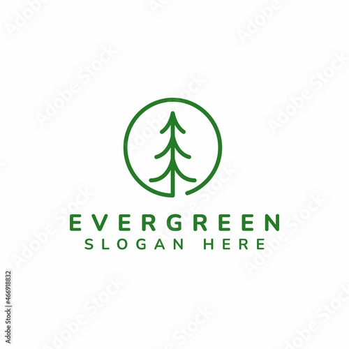 Christmas pine tree evergreen icon logo design vector