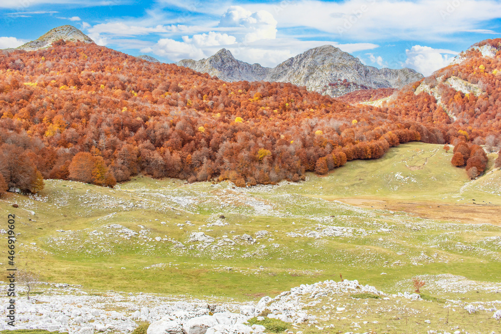 Lago Vivo, Italy - embedded in the wonderful Abruzzo, Lazio and Molise National Park, Lago Vivo is one of the most spectacular locations of the Apennine Mountains, expecially during Autumn foliage

