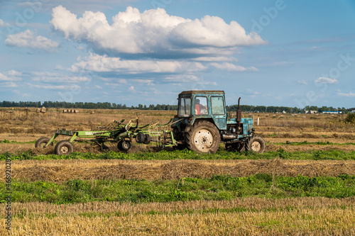 Russia. Gatchinsky district of the Leningrad region. August 28, 2021. The tractor puts hay on the field in the tracks for rolling rolls.