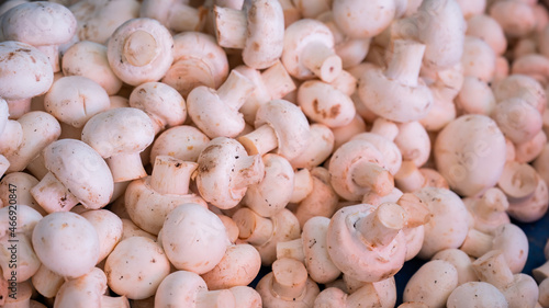 A close-up of champignons. Top view of a shelf with mushrooms in the market.