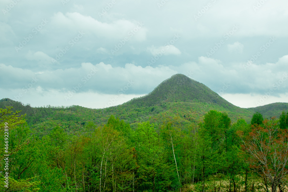 Fototapeta premium 山
