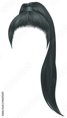 trendy women hairs gray colour .high 
ponytail . fashion beauty style .
