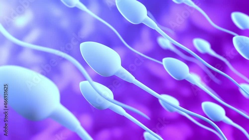 Sperm Swimming. A group of sperm flows towards the cell in the space of the organism, the visual concept of fertilization, the film is looped. photo