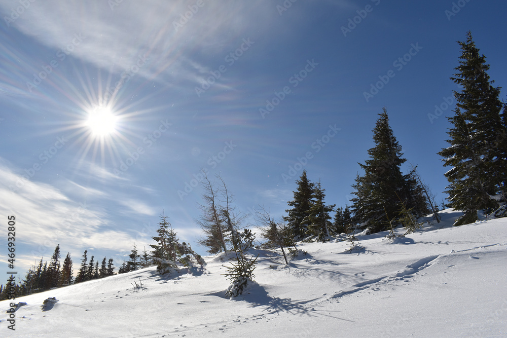 Spur vom Schneeschuhwandern im Tiefschnee auf Berg im Winterwald an sonnigem, kaltem Tag