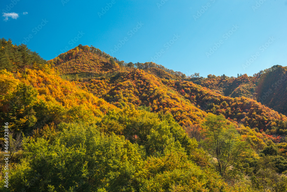 澄んだ空と秋の山
