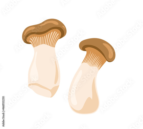 King Oyster Mushrooms, Pleurotus eryngii. Asian cuisine ingredient, edible fungus. Healthy vegetarian food. Flat hand drawn vector cartoon illustration for recipe, menu, label, product packaging.