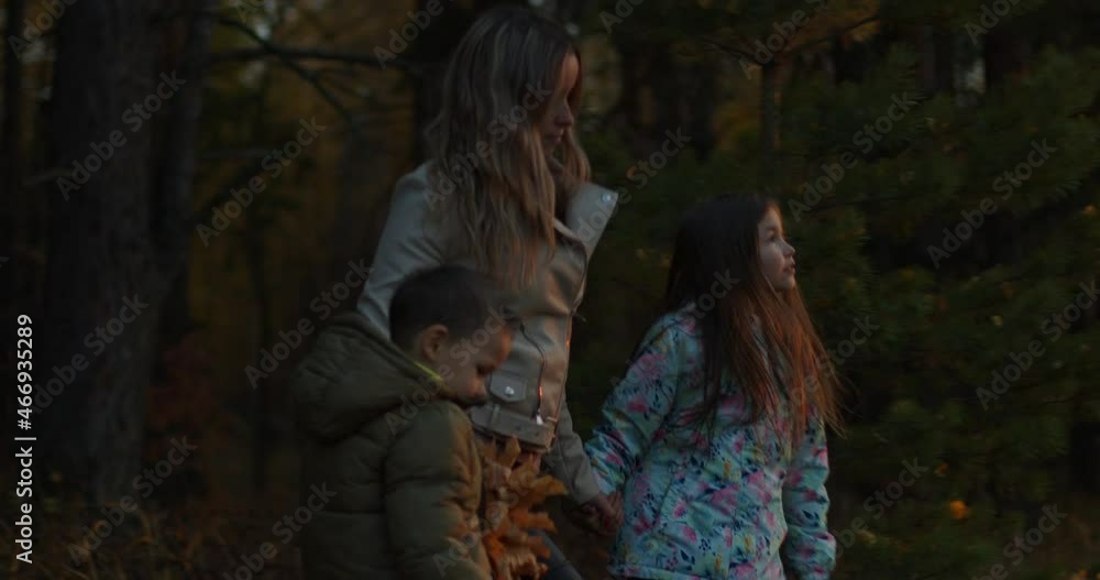 A family comes out of a dark autumn forest at the sunset, mom has autumn leaves in her arms A family comes out of a dark autumn forest at the sunset, mom has autumn leaves in her arms