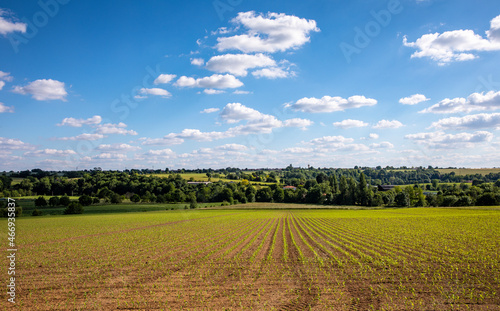 Superbe paysage agricole en campagne, printemps dans les champs en France. © Thierry RYO