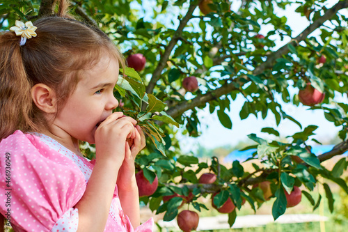 A child bites an apple. A Beautiful Young Curly-Haired Woman Is Trying To Bite Off A Delicious Red Apple Right From A Tree Branch In The Garden In Autumn.