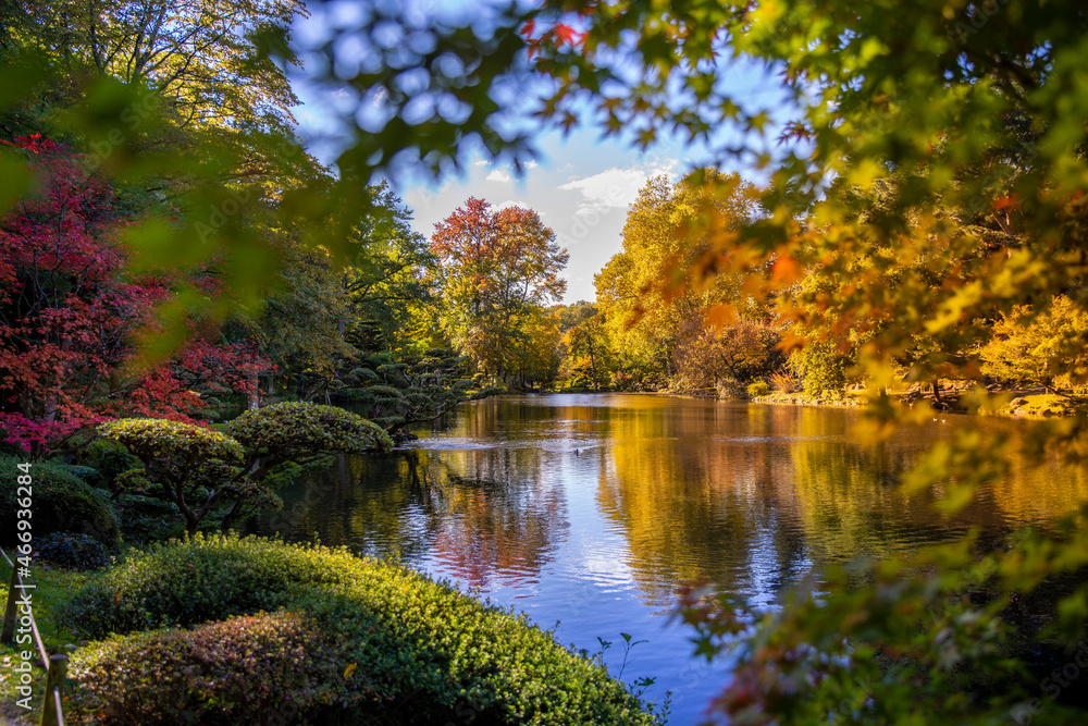 Arbres aux couleurs de l'automne dans un parc au pied d'un lac.