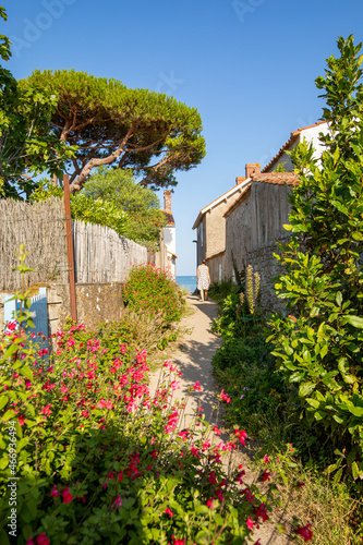 Petite rue menant    la plage sur l   le de Noirmoutier en Vend  e.