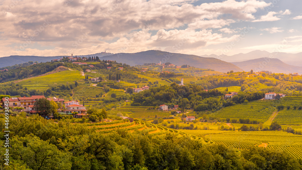Goriska Brda a famous wine region of Slovenia located near Italy. Sunrise and sunset looking over vineyards.