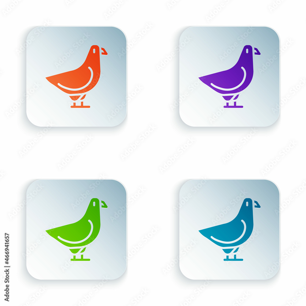 Color Dove icon isolated on white background. Set colorful icons in square buttons. Vector Color Dove icon isolated on white background. Set colorful icons in square buttons. Vector