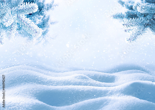 New Years Christmas background. Christmas tree branches against the background of snowdrift and snowfall. Copy space.
