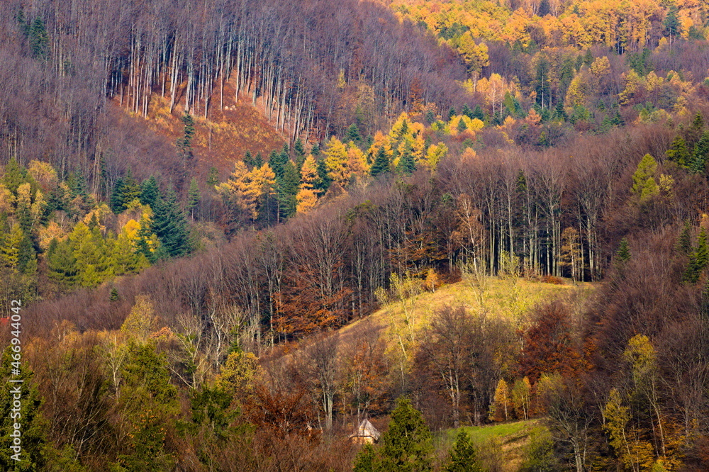 autumn in the Polish mountains