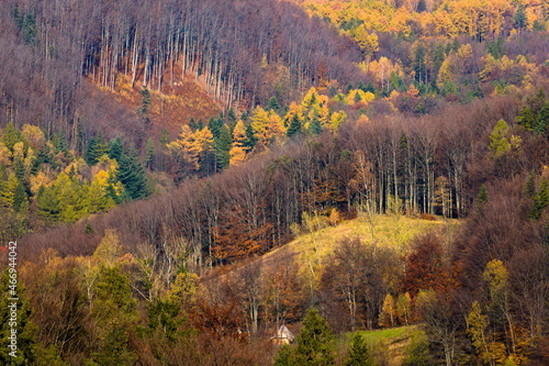 autumn in the Polish mountains