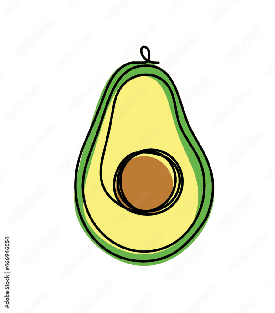 Drawing line color avocado on the white background. Vector Drawing line color avocado on the white background. Vector