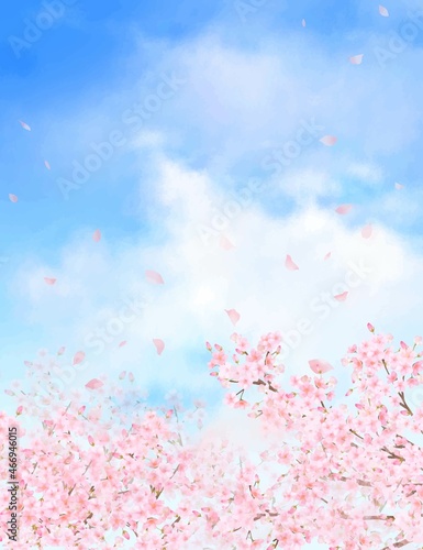 美しく華やかな桜の花と花びら舞い散る春の爽やか青空に雲のフレーム背景ベクター素材イラスト

