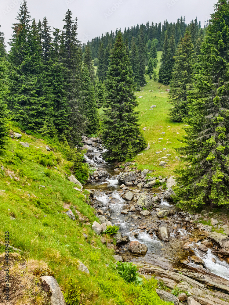 river in the forest, Lotrului Valley, Parang Mountains, Romania river in the forest, Lotrului Valley, Parang Mountains, Romania