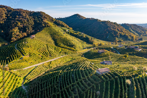 Valdobbiadene, hills and vineyards along the Prosecco road. Italy photo