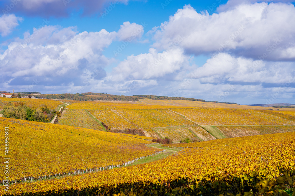 Burgundy, vineyards and landscape in autumn. 