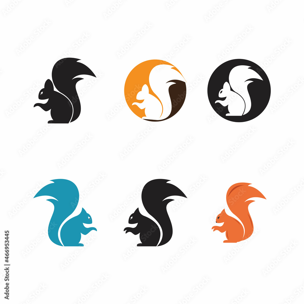Squirrel logo template illustration design Squirrel logo template illustration design