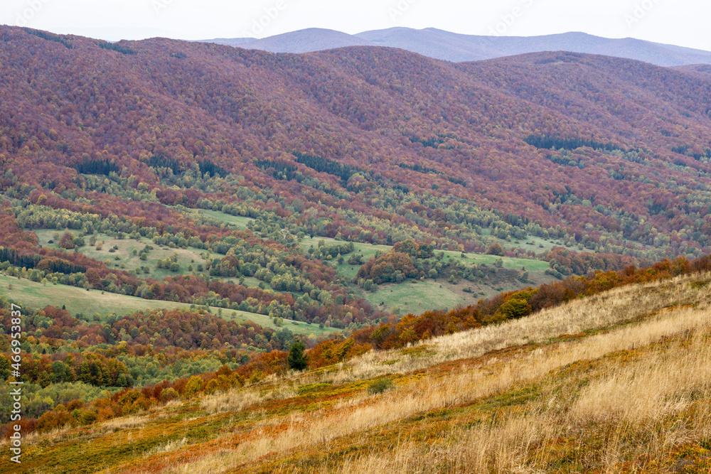 Obraz premium Autumn in the Bieszczady Mountains.