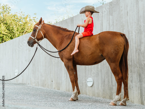 Small boy in cowboy hat sitting on brown horse