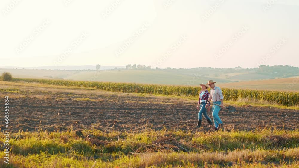 Two greenhouse workers walking through the field and chatting with pleasure about something. Collaboration and industrial agriculture concept Two greenhouse workers walking through the field and chatting with pleasure about something. Collaboration and industrial agriculture concept