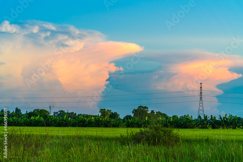 Scenic view landscape of Rice field green grass with field cornfield with High voltage tower or in Asia country agriculture harvest with fluffy clouds blue sky sunset evening background.
