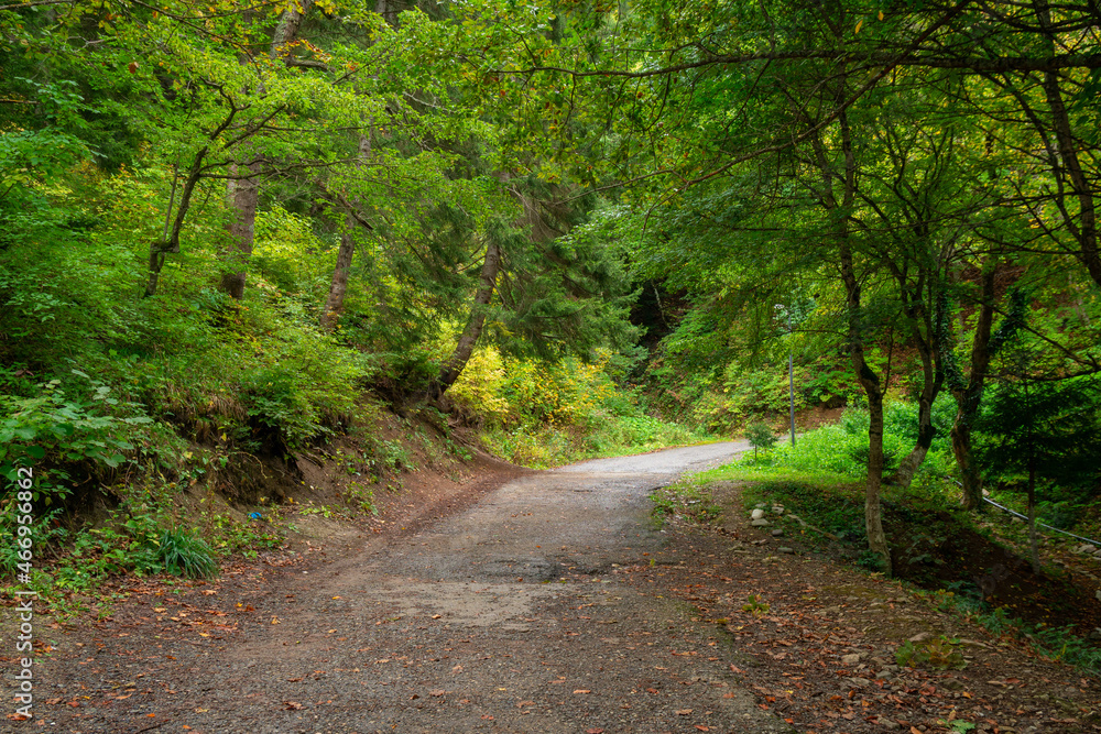 Naklejka premium Path to the Famous Kintsvisi monastery in Shida Kartli, central Georgia