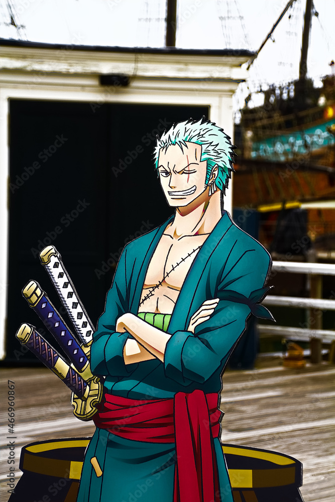 Roronoa Zoro  Manga anime one piece, Zoro one piece, Roronoa zoro